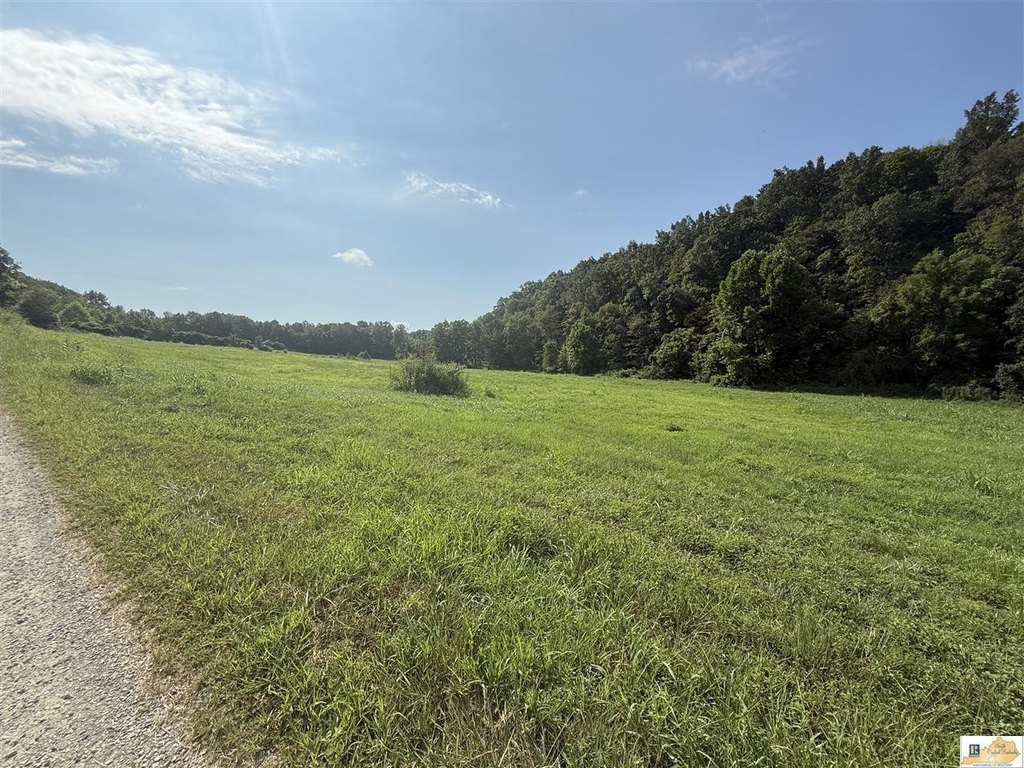 Picture 18