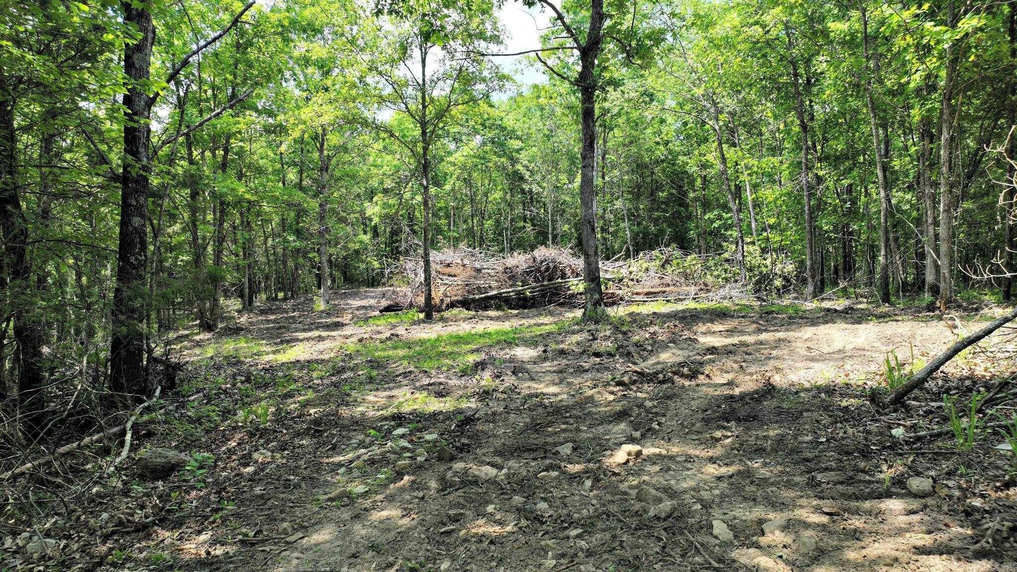 Mena, AR Wooded Land