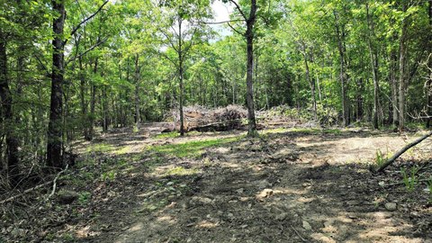 Mena, AR Wooded Land