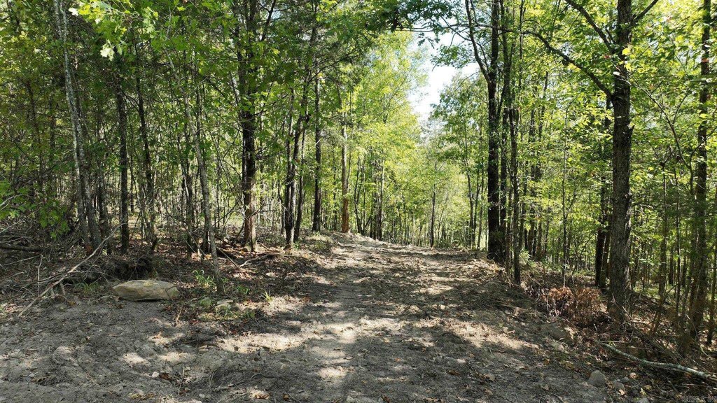 Picture 16