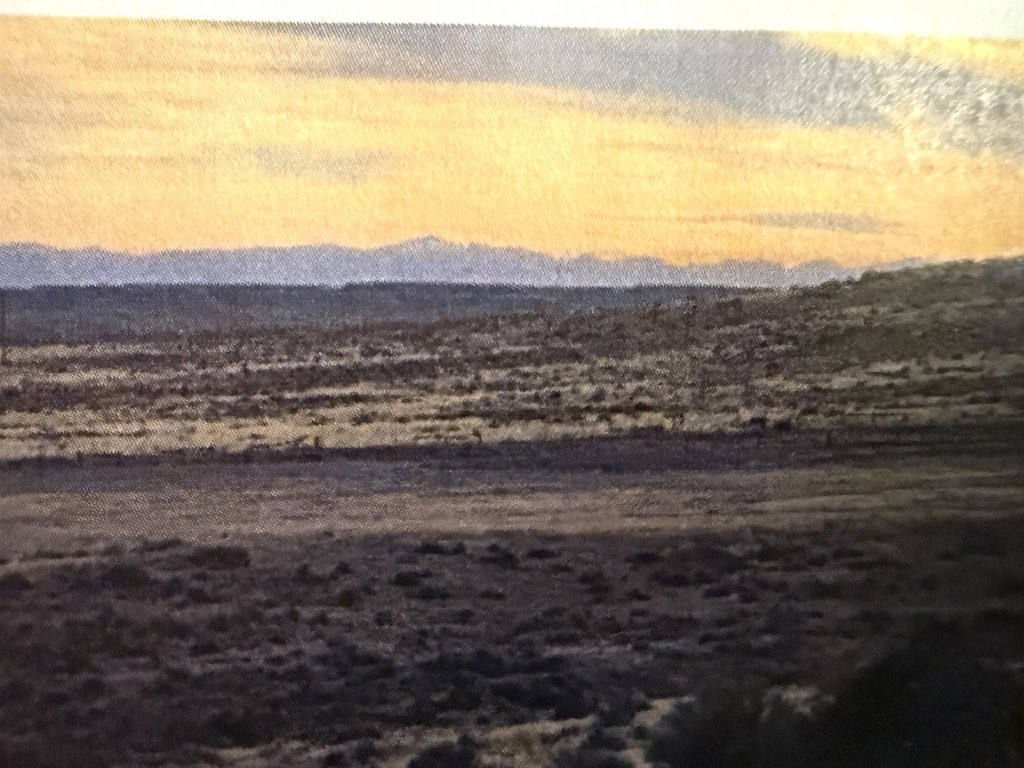Picture 9