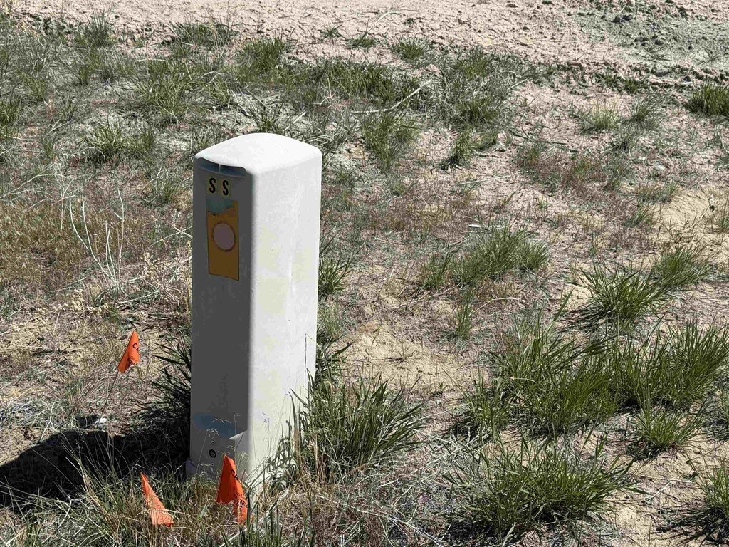 Picture 6