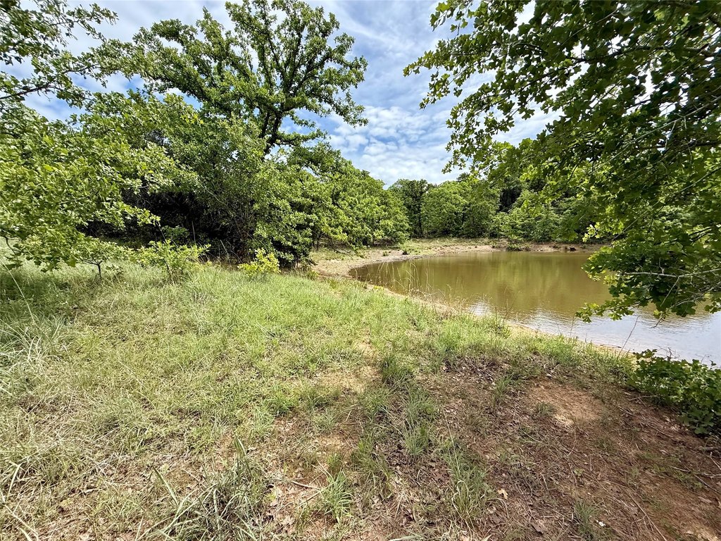 Picture 15