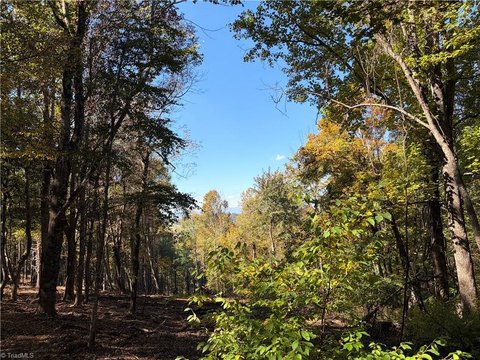 Land, Laurel Springs, NC