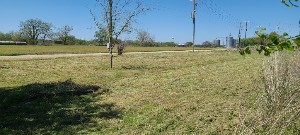 Picture 3