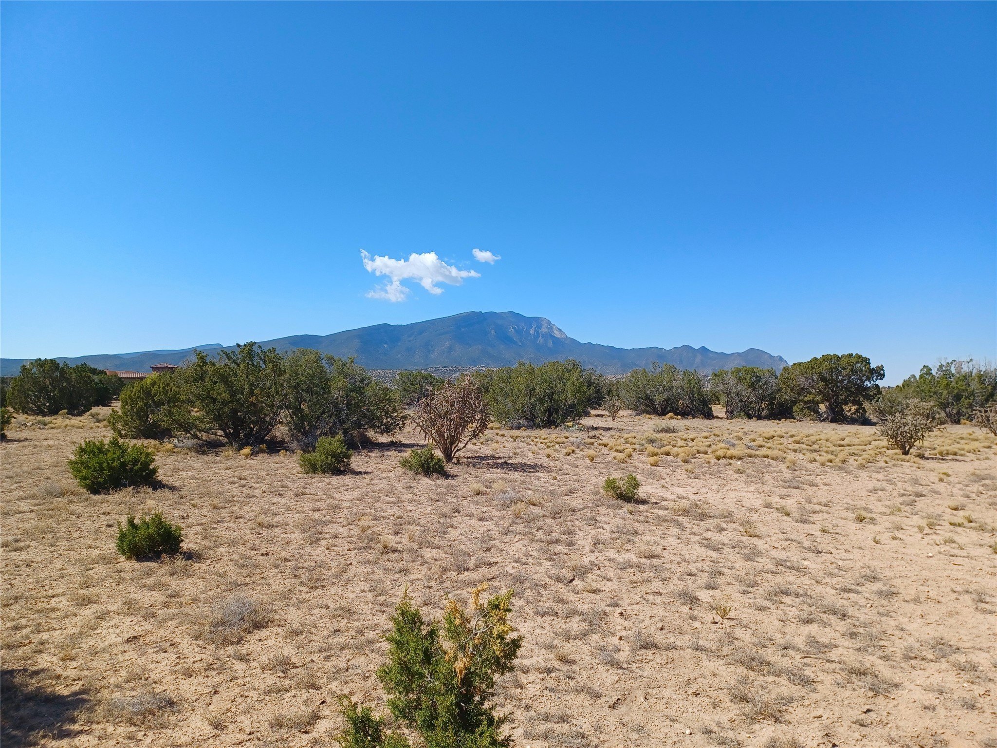 Land in Wild Horse Mesa