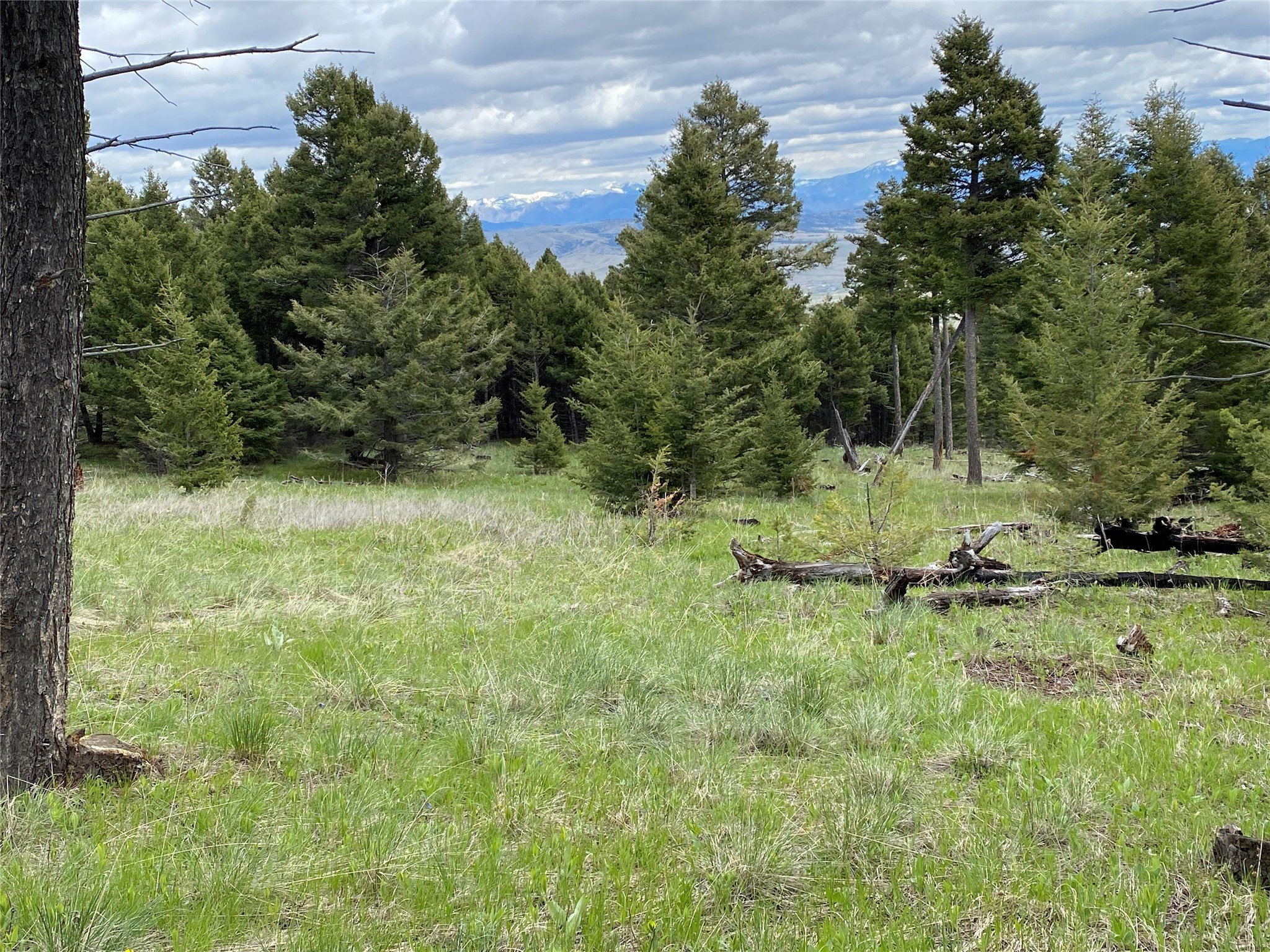 Secluded Land Near Helena, MT