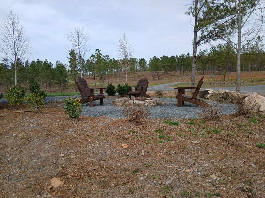 Picture 20