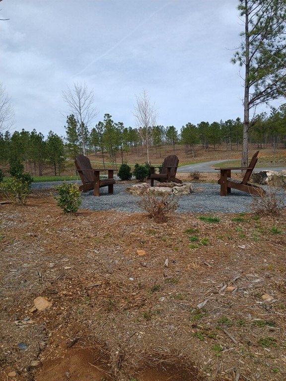 Picture 19