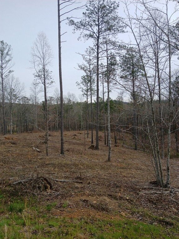 Picture 4