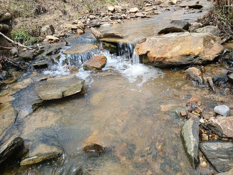 Vacant Lot, Talking Rock, GA