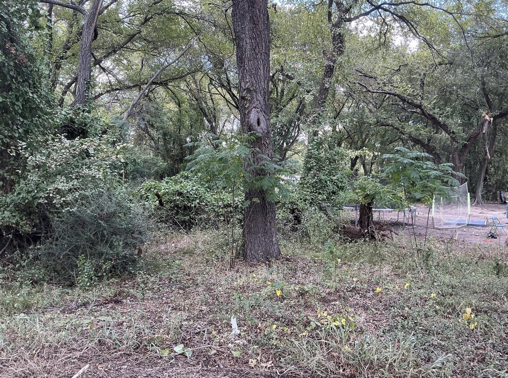 Picture 4