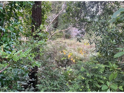 Coos Bay Quarter Acre Lot