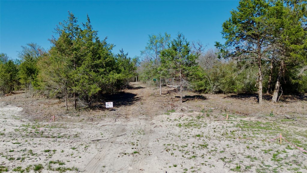 Picture 6