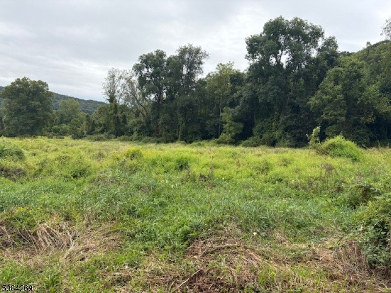 28-Acre Land Parcel in Hope