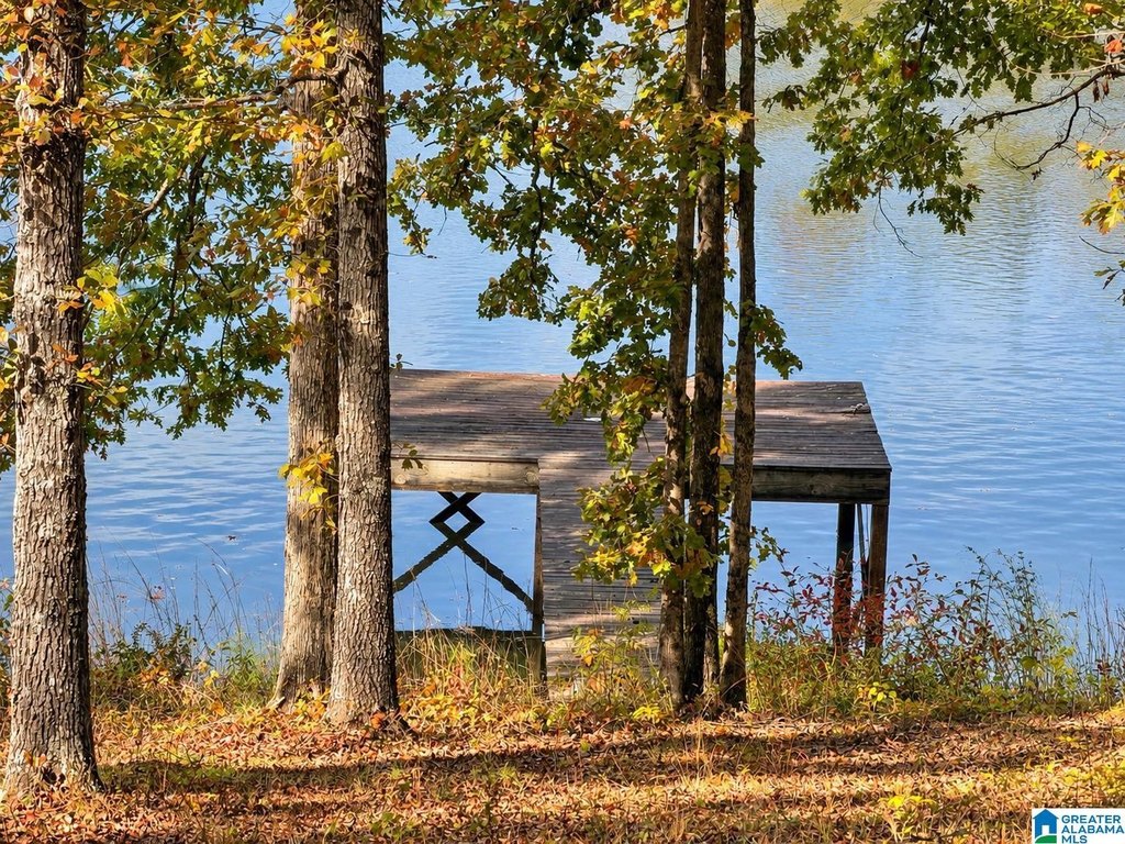 Picture 4