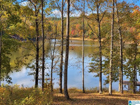 LAND/LOTS, LINEVILLE, AL