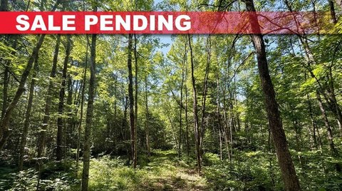 Buildable Wooded Land Parcel