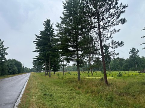 LAND - Woodruff, WI