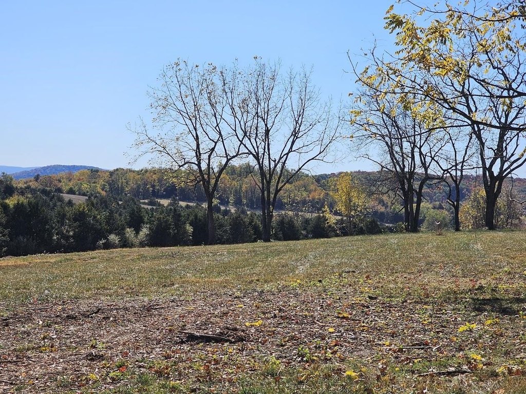 Picture 8