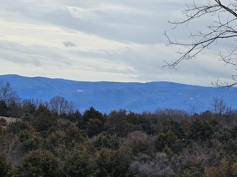 Mountain View Equestrian Acreage