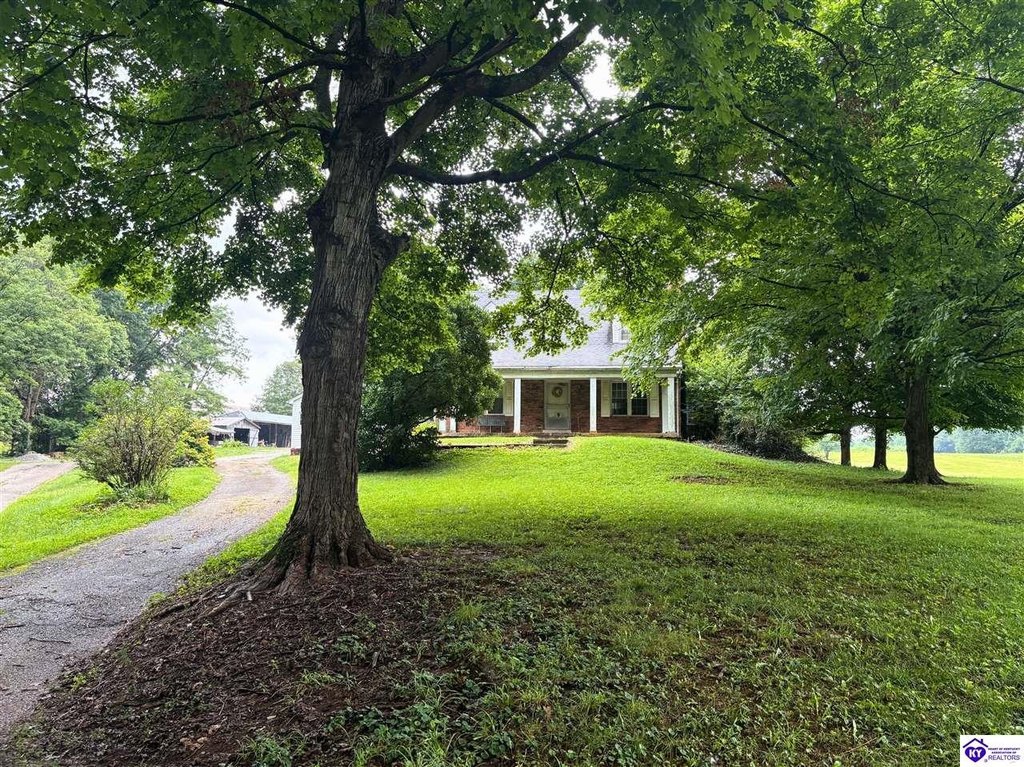 Picture 20