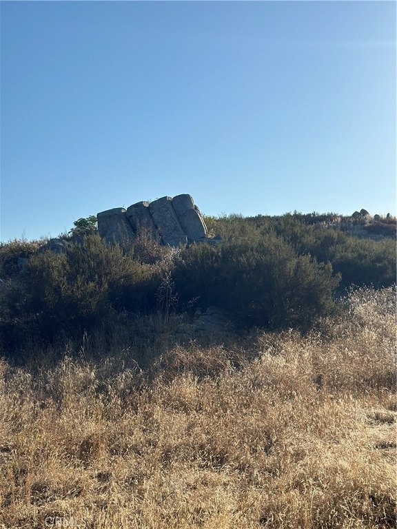 Picture 28