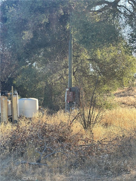 Picture 27