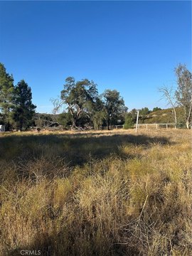 Fully Fenced Agricultural Land Parcel