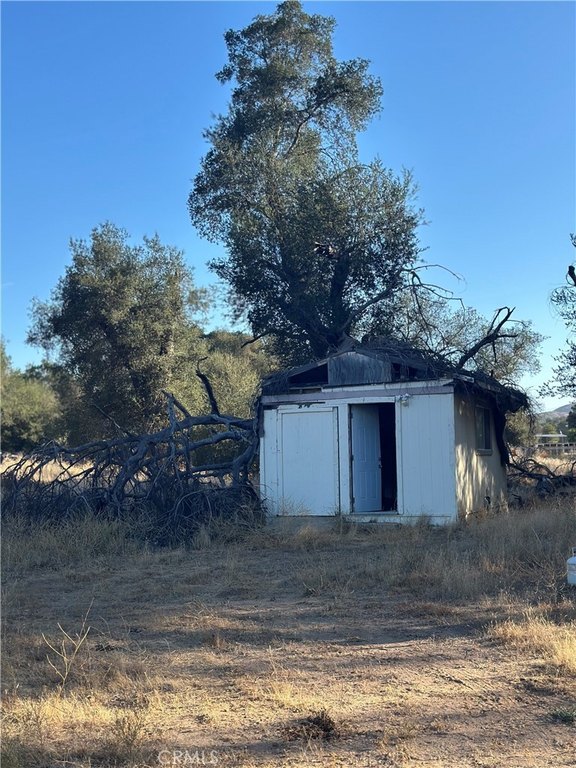 Picture 25