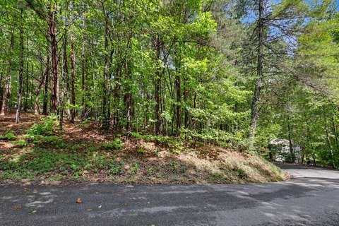 Vacant Lot, Young Harris, GA