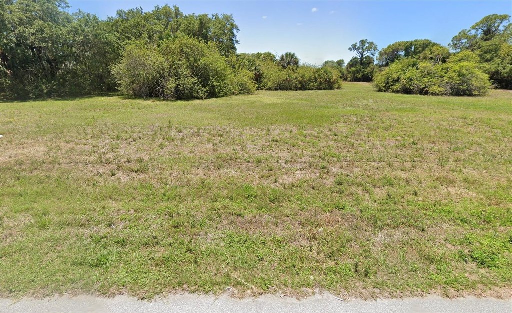 Picture 5