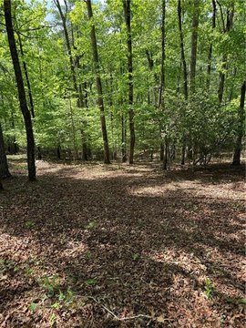 Residential Land in Cleveland, Georgia