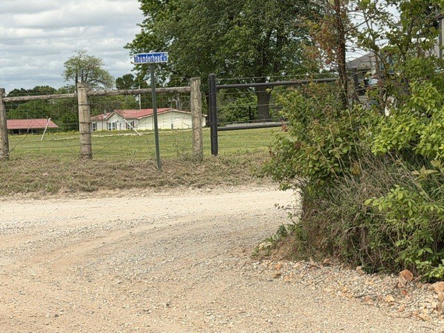 Picture 13