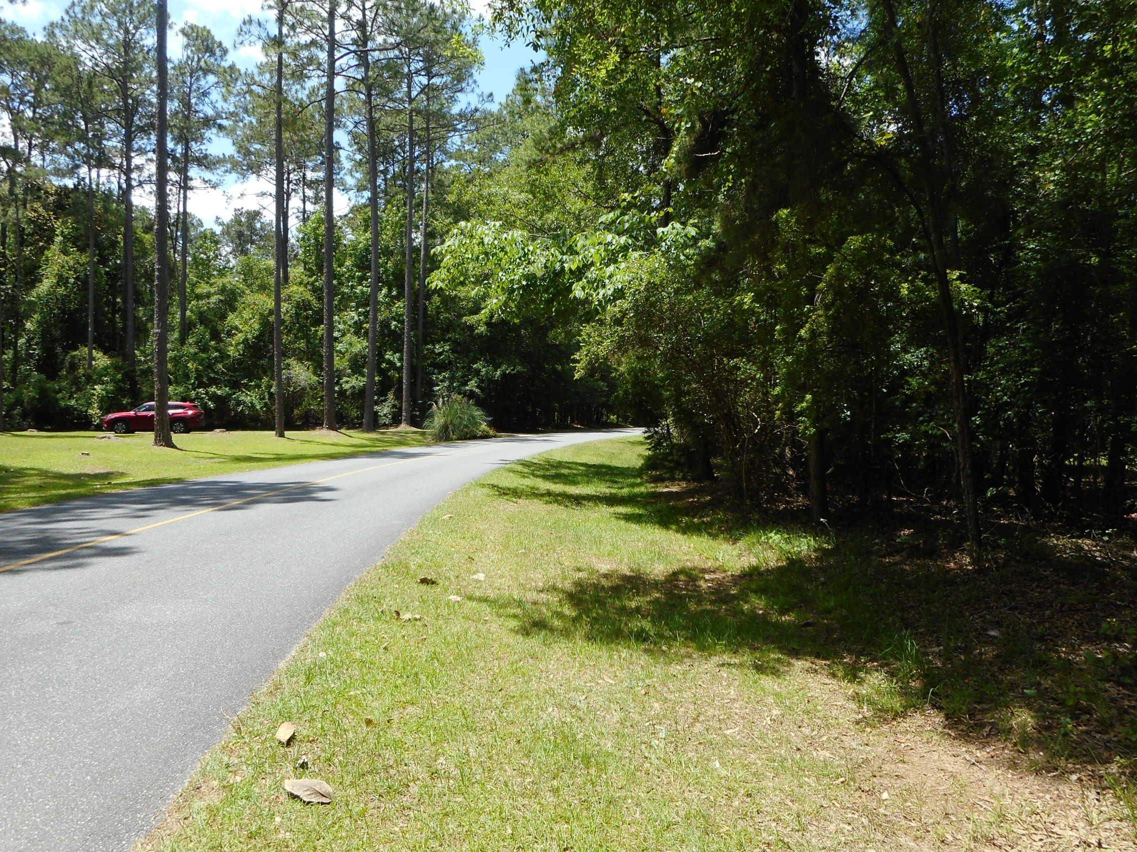 Wooded Lot in Gated Community