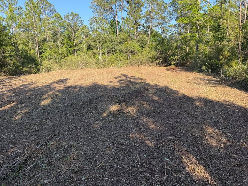 Picture 13