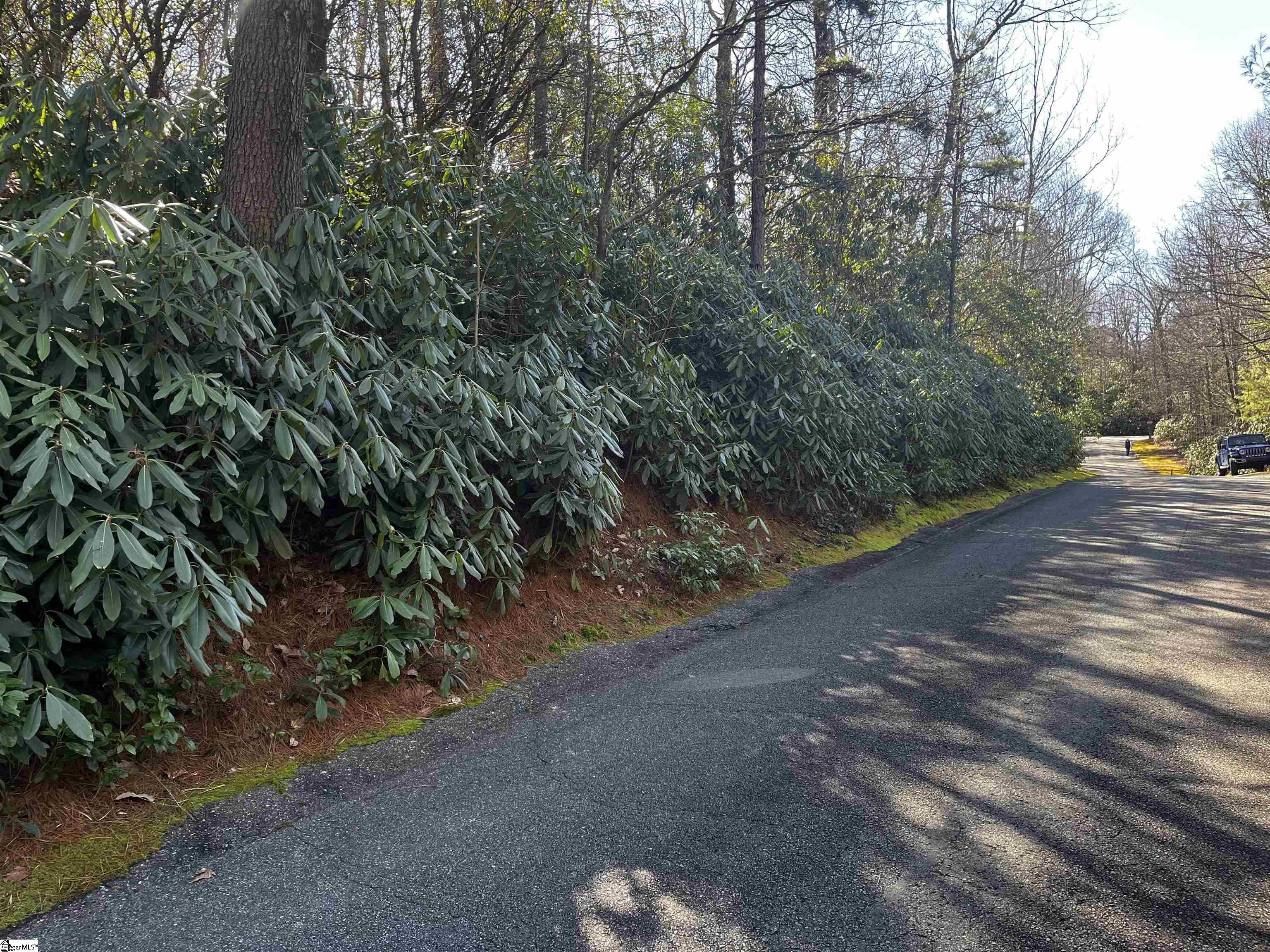 Cliff Ridge Wooded Lot