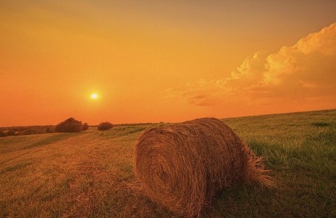 Prime Bourbon Trail Land