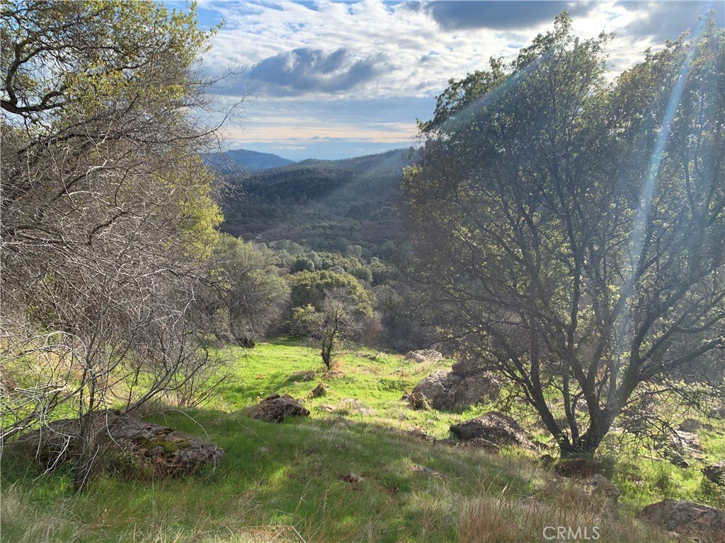 Picture 28