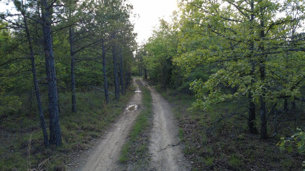 Picture 42