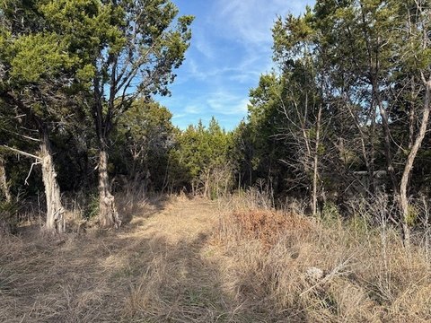 Partially Cleared Lot Near Lake