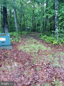 Private Wooded Tract in Gated Neighborhood