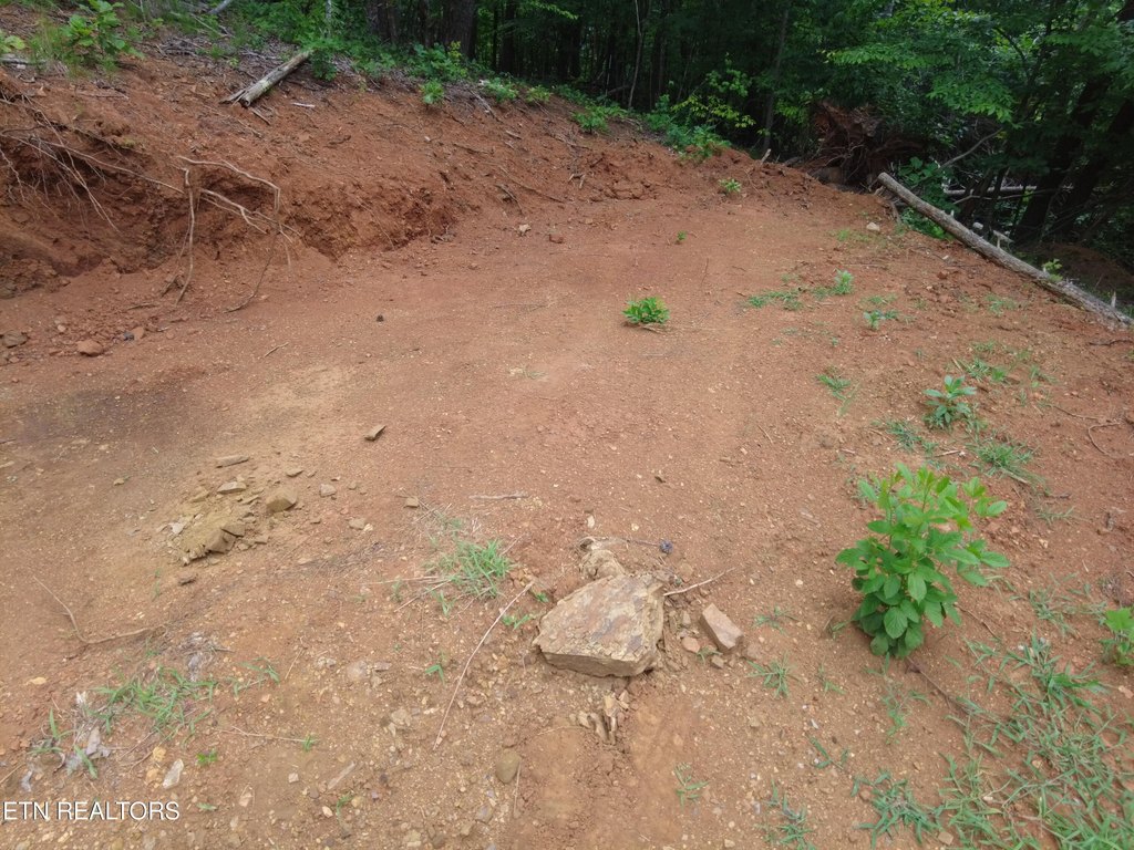 Picture 15