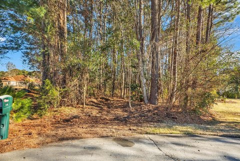 Residential Lot with Lake View
