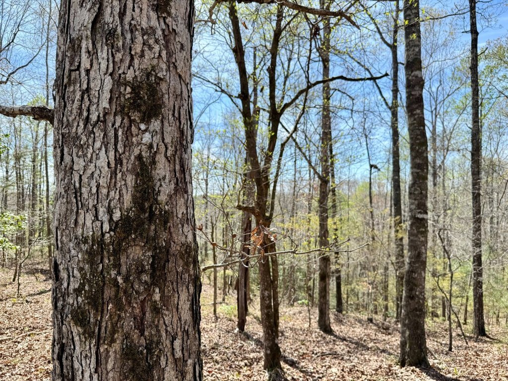 Picture 16