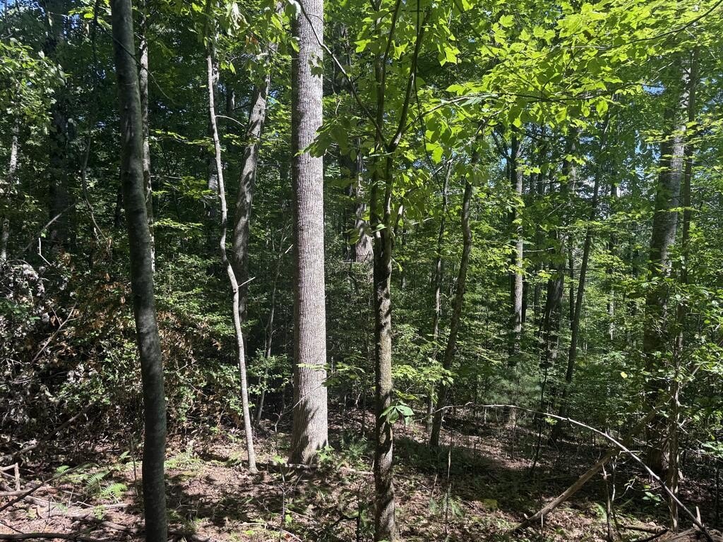 Picture 16