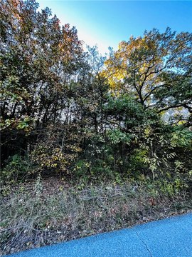 Land in Holiday Island, AR