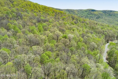 Wooded Acreage in Rockcastle Subdivision