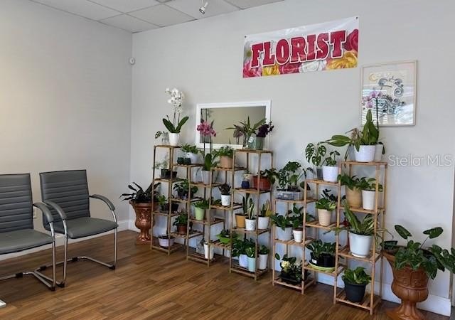 Picture 4