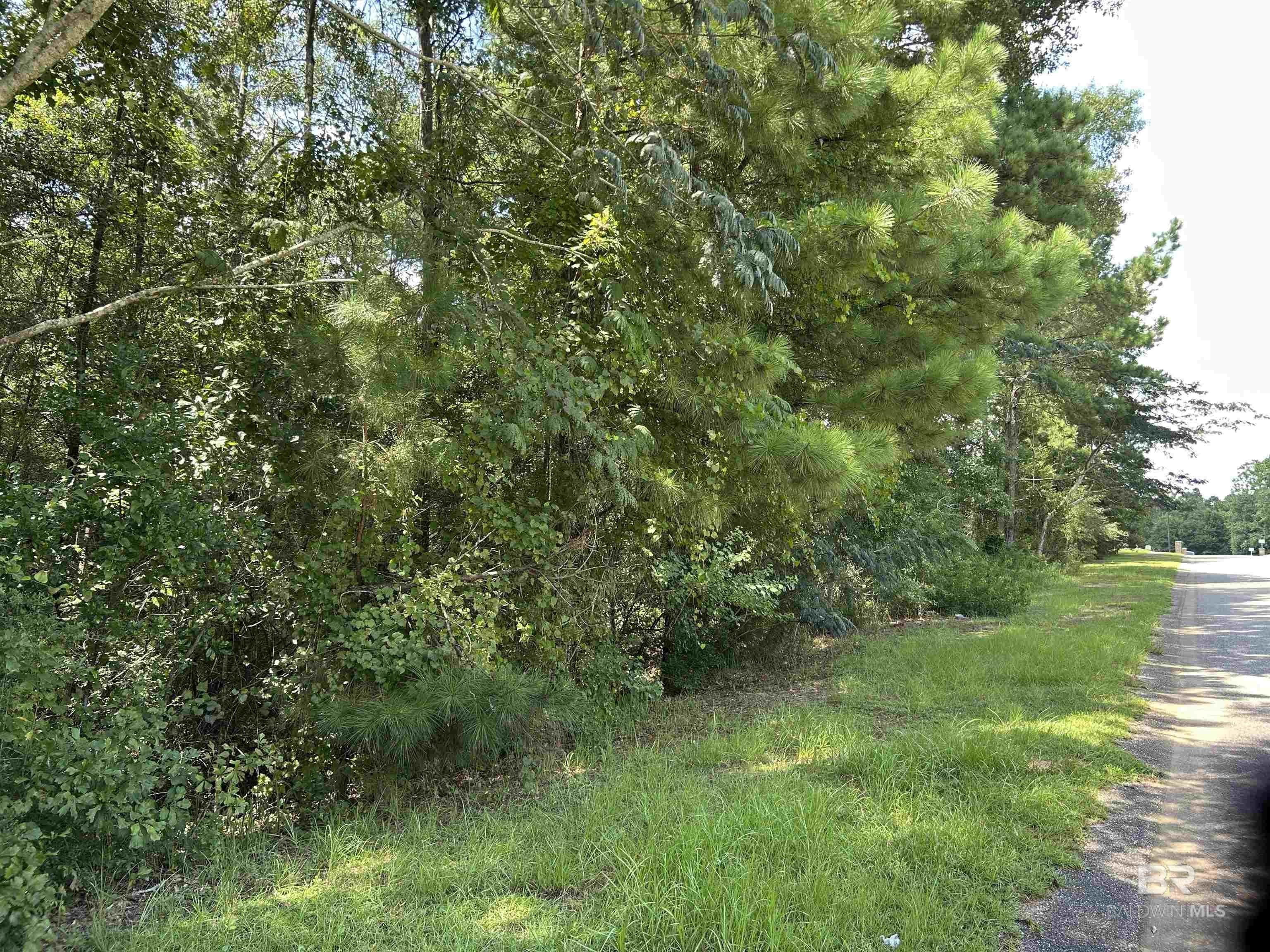 Residential Lot in Eight Mile